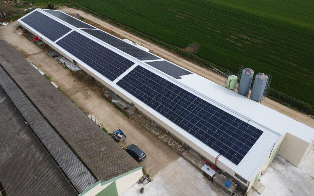 Une nouvelle centrale photovoltaïque sur un hangar agricole à Limerzel